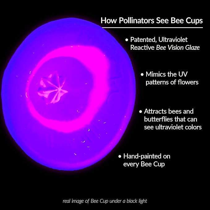 5 Pack, Bee Watering Station, 100% Handmade Porcelain, Bee and Butterfly Feeder for Garden, Outdoor Feeders for Thirsty Pollinators, Plastic Free, Pollinator Attracting Glaze (5, White)