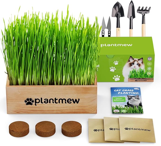 Organic Cat Grass Kit for Indoor Cats - 3 Pack with Cat Grass Seeds, Nutrient Soil & Planter Pots | Complete Growing Set for Fresh Pet Grass (Non-GMO Wheat Grass)