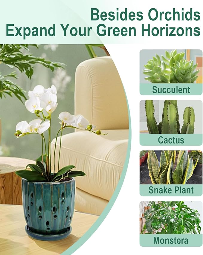 vensovo 6 Inch Ceramic Orchid Pot - Orchid Pot with Holes for Repotting, Ceramic Planter with Saucer for Indoor/Outdoor Plants, Green