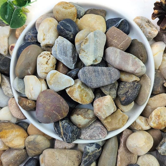 20lbs Aquarium Rocks, 5/8" Natural River Rocks for Plants Decorative Polished Mixed Pebbles for Fish Tank, Landscaping, Gardening, Flower Pots, Vase Fillers, Indoor Water Fountains