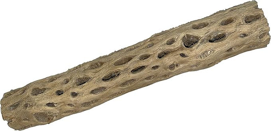 Awesome Aquatic 12 inch 2-3” Thick XL Teddy Bear/Chain Fruit/Buckhorn/Staghorn Cholla Wood Hollow Tube Wood Cactus Skeleton Tubes 12” x 2-3” Thick/Diameter (12 in x 2-3 in Diameter)
