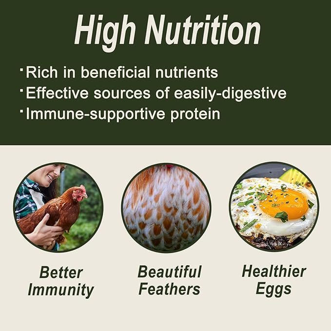 Adaman Dried Black Soldier Fly Larvae 10 LBS-100% Natural Non-GMO BSF Larvae-More Calcium Than Dried Mealworms High-Protein Chickens Treats, Food for Wild Birds, Ducks, Layer Hens