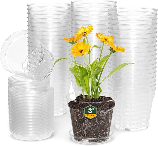 3 Inch Clear Nursery Pots, 60 Pack Highly Transparent Plastic Seedling Starter Planters with Drainage Holes and Trays for Flowers, Small Plant Pots for Indoor Plants