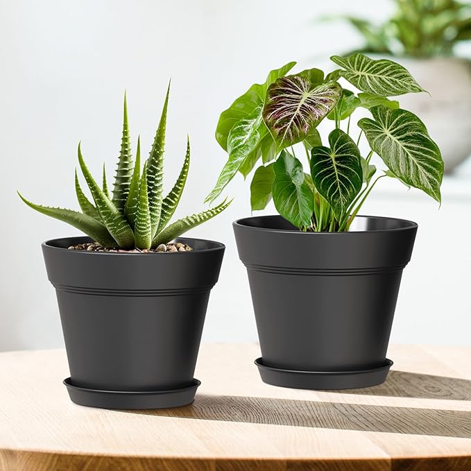 5 Inch Plastic Plant Pots with Drainage Holes and Trays – 6 Pack Small Nursery Pots for Indoor & Outdoor House Plants and Flowers, Seedling Starter Planters, Matte Black