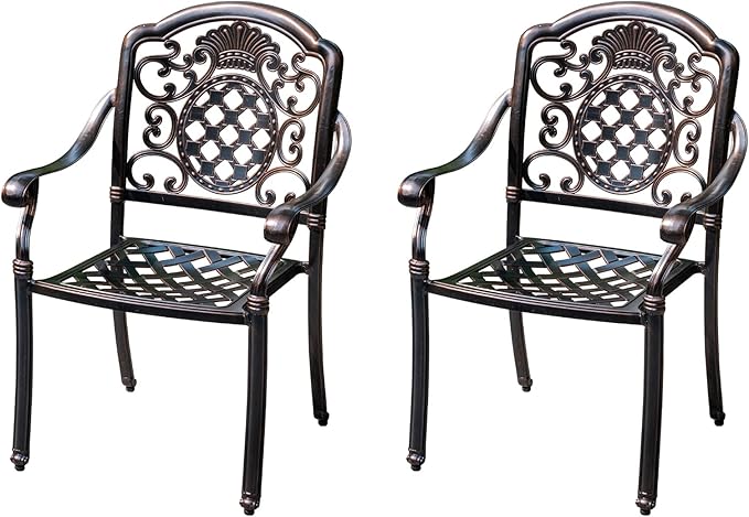 Outdoor Dining Chair Cast Aluminum Patio Chairs Set of 2 All-Weather Patio Dining Chair with Adjustable Feet for Backyard Garden (JL Chair)