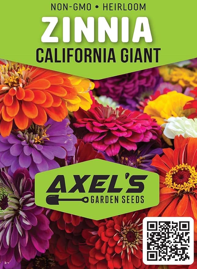 Zinnia Seeds for Planting – Non-GMO Heirloom Zinnia Flower Seeds – Full Instruction Packets to Plant in Your Home Outdoor Garden – Gardening Gift – 50 California Giant Zinnia Seeds (3 Packets)