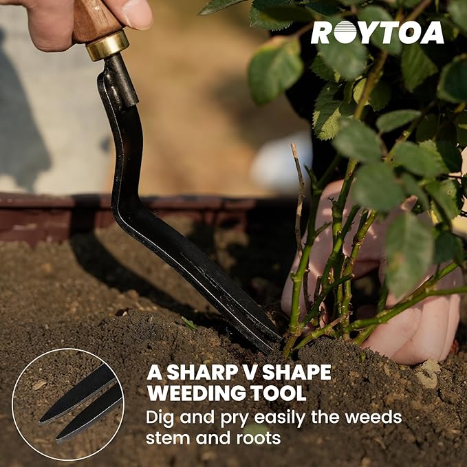 Garden Tool Set,5Pcs Gardening Tools,Stainless Steel Heavy Duty Hand Cultivator, Hoes，Shovel, Trowel and Weeder with Ergonomics Walnut Handle，Gardening Gifts for Women