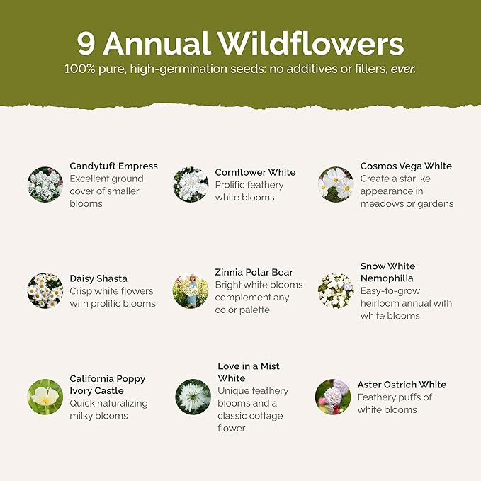 Eden Brothers Cloud 9 Flower Mixed Seeds for Planting, 1/4 lb, 120,000+ Seeds with White Candytuft, Cosmos Purity | Attracts Pollinators, Plant in Spring or Fall, Zones 3, 4, 5, 6, 7, 8, 9, 10