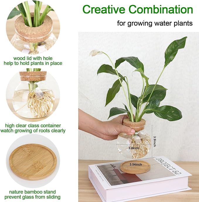 Plant Propagation Station,Hydroponic Glass Container Vase Jars, with Wooden Saucer for Desks, Houses, Garden Decorations, Home Kitchen Decorations and Gifts for Plant Lovers (9)