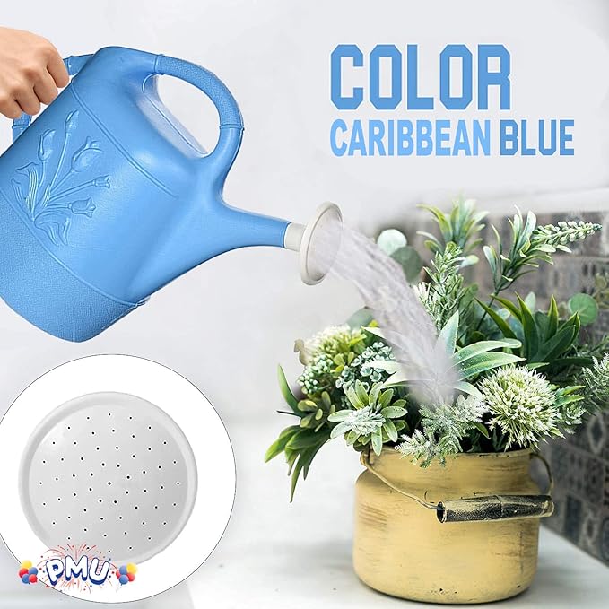 PMU 2 Gallon Watering Can - Garden Watering Can for Indoor & Outdoor Plants - Plastic Water Can with Detachable Sprinkler Head - Large Water Pot, Made in USA - Blue Pkg/1