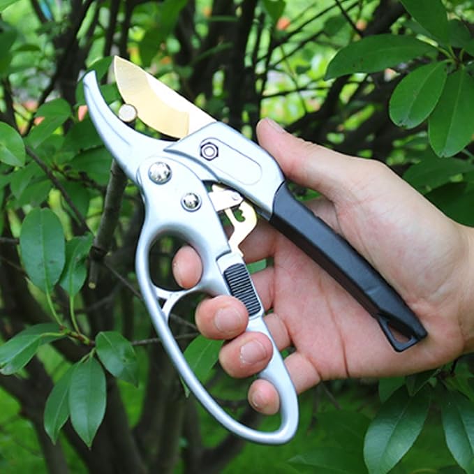 Titanium Garden Clippers, Premium Germany Pruners, Work 3 Times Easier, Professional Pruning Shears, Cutting Rose, Flower, Hedge, Stem, Sharp Gardening Scissors, Arthritis Weak Hand Snips