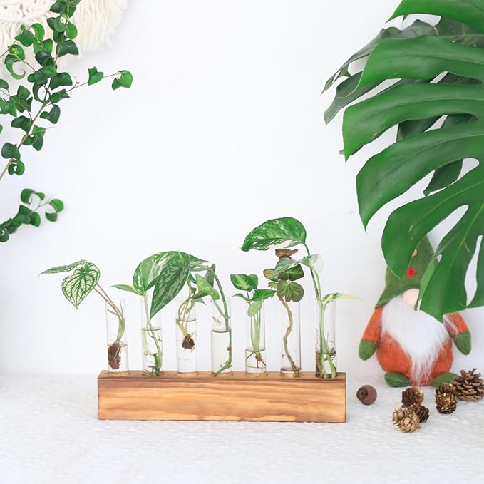 KAXYEW Plant Terrarium with Wooden Stand, Plant Propagation Tubes, 7 Test Tubes Glass Planter for Hydroponic Plant Cuttings Home Office Décor
