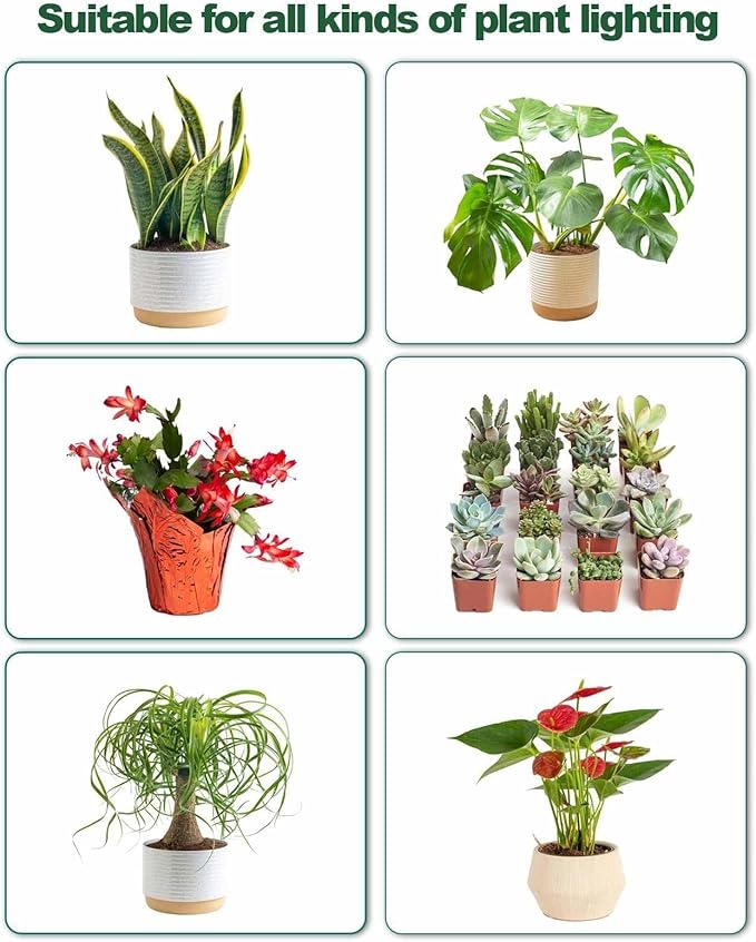 DOMMIA Grow Light,Full Spectrum Plant Light Panel with 6/12/16H Auto On/Off Timer, 4 Dimmable Levels, Suitable for Hydroponics, Seedlings, Succulents, Veg, Flowers & More(No Adapters)