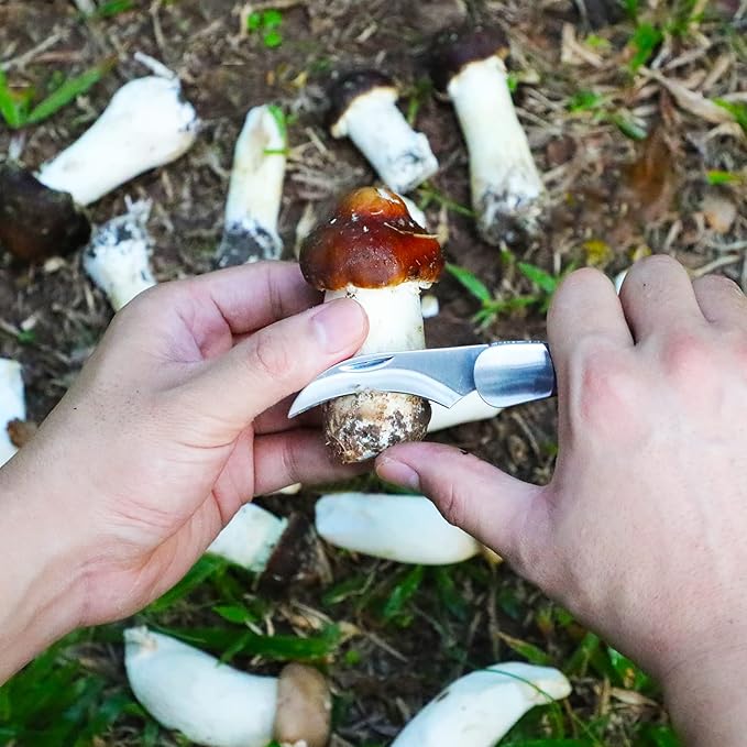 Mushroom Foraging Knife - Folding Knife with Brush and Sheath for Mushroom Lovers