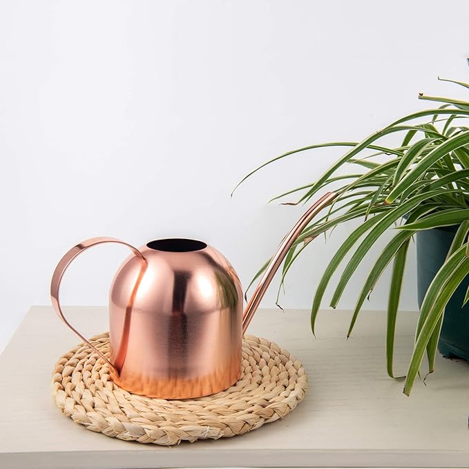 IMEEA Indoor Watering Can for House Plants 33oz/1L Stainless Steel Watering Can with Long Spout (Rose Gold)