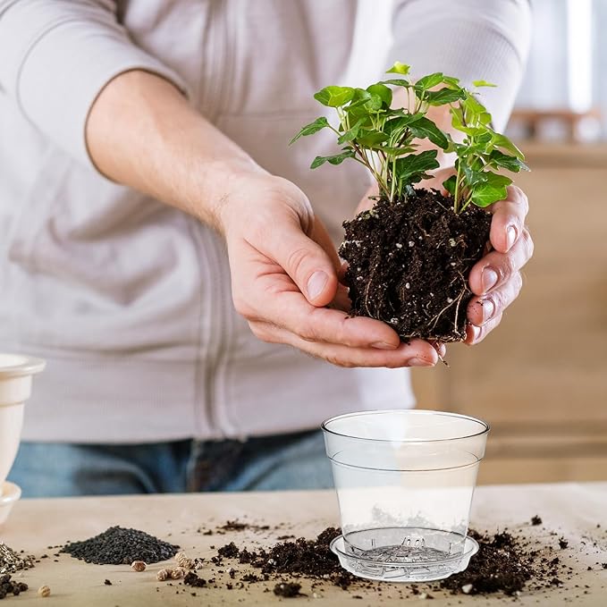 4 Inch Clear Nursery Pots, 8 Pack Highly Transparent Plant Pots for Small Indoor Plants with Drainage Holes and Trays, Plastic Seedling Starter Planters for Flowers