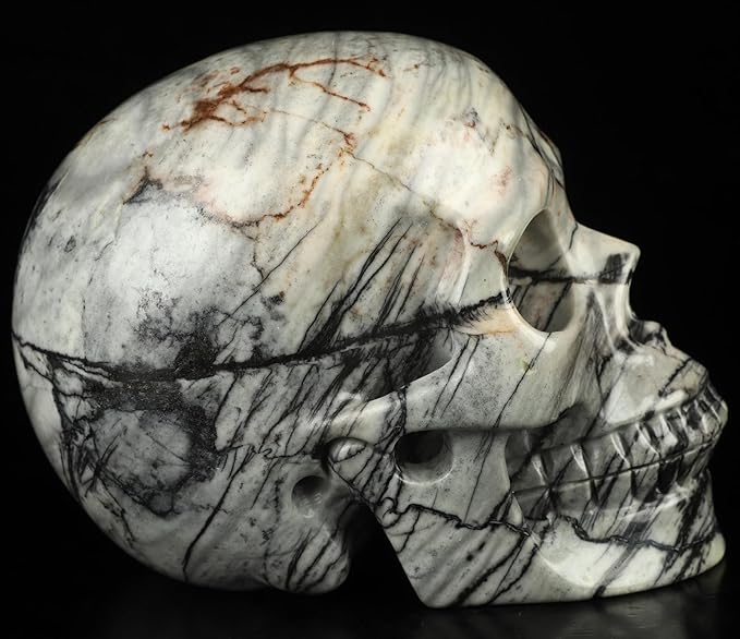 Skullis 5.0”Picasso Jasper Crystal Skull, Hand Carved Gemstone Fine Art Sculpture, Reiki Healing Stone Statue.3159