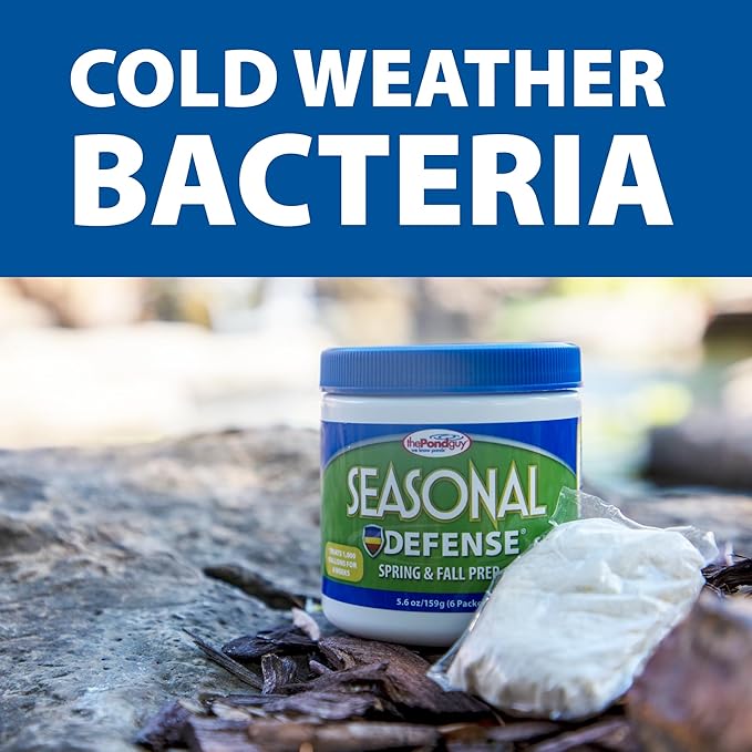 The Pond Guy Seasonal Defense, Spring & Fall Beneficial Bacteria, Barley & Enzymes, Cold Water Pond Sludge & Scum Treatment, Fish & Plant Safe, 12 Packets