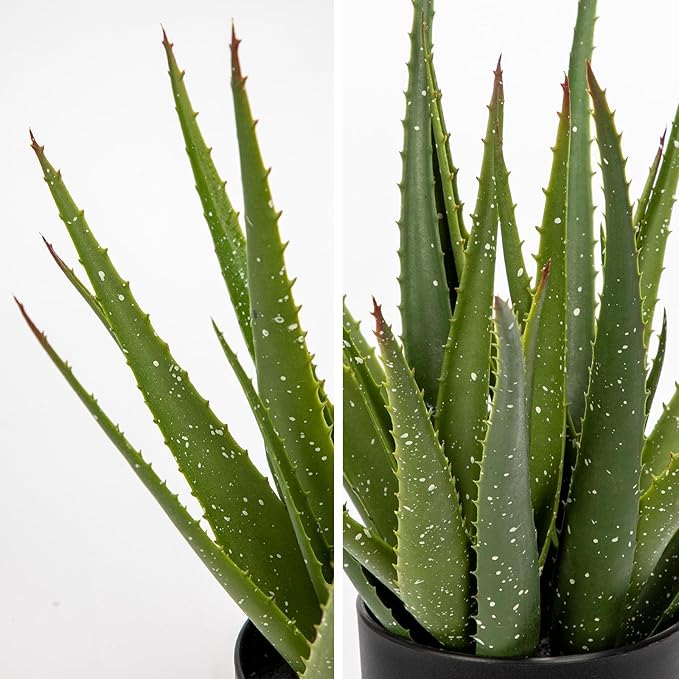 Fake Succulent Aloe Vera Plants 13.4 Inch Large Artificial Succulents with Black Pot Faux Aloe Potted Plant for Desk Modern Home Office Bedroom Living Room Table Shelf Decor