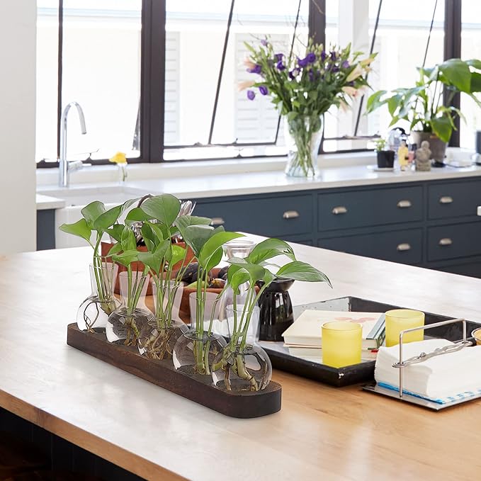 YIBOT Plant Propagation Stations,Glass Propagation Vases for Plants Terrarium with Wooden Tray Plant Lover Gifts for Propagating Hydroponic Plants Home Office Decor(5 Vase)