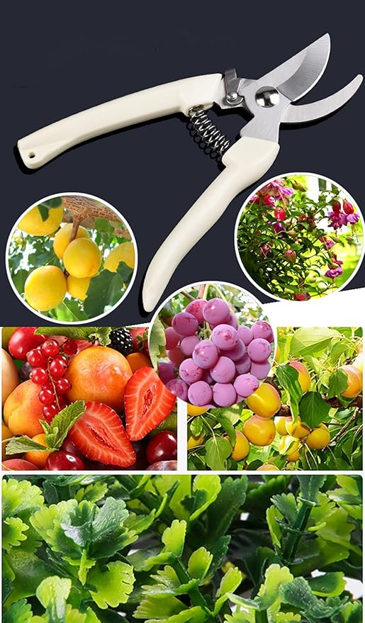 Garden Flower Shears Pruning Shears 6.9 inches Scissors Heavy Duty Plant Scissors for Cutting Flowers, Trimming Plants, Bonsai, Fruits Picking (White Handle)