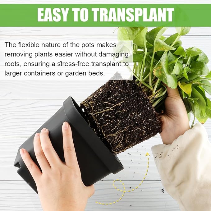 Square Nursery Pots 5.5 Inch, Plastic Plant Pot with Drainage Holes, Reusable Seedling Starter Pots Garden Flower Pots Planters for Indoor Plants, Transplanting, Succulents, Cuttings