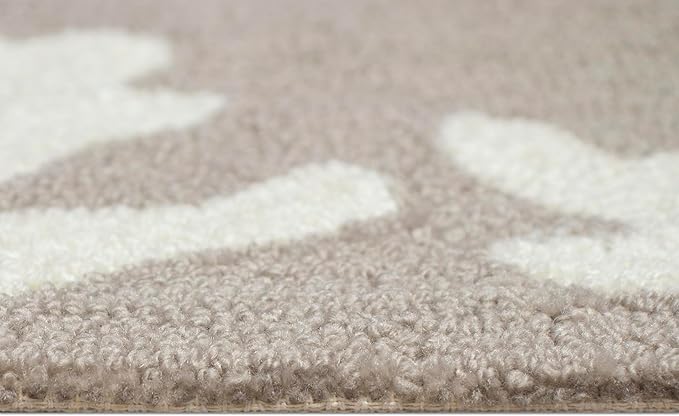 Liora Manne CAPRI Indoor/Outdoor Handmade Synthetic Blend Durable Area Rug - Traditional Border Coastal Beach Accent (Coral Border Silver) (2'6" x 4')