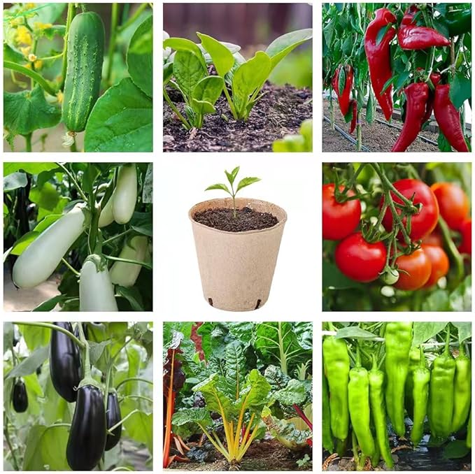 Seed Starter Trays, 174 Pcs 3.15 Inch Round Biodegradable Peat Pots, Drainage Holes Nursery Pot, (Light Brown Round)