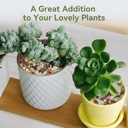 10 lbs Pebbles for Indoor Plants, Succulent Rocks, 3/8" Polished Pebbles for Bamboo, Vase, Terrarium, Natural Decorative Small River Rocks for Crafts, Cactus, Outdoor Garden Landscaping