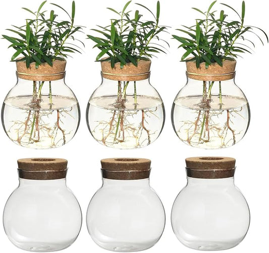 Plant Propagation Station,Hydroponic Terrarium Vase,Desktop Glass Planter Station,for Houses,Garden Decorations,ropagating Hydroponic Plants,Centerpiece Office,Home Garden Decor (6)