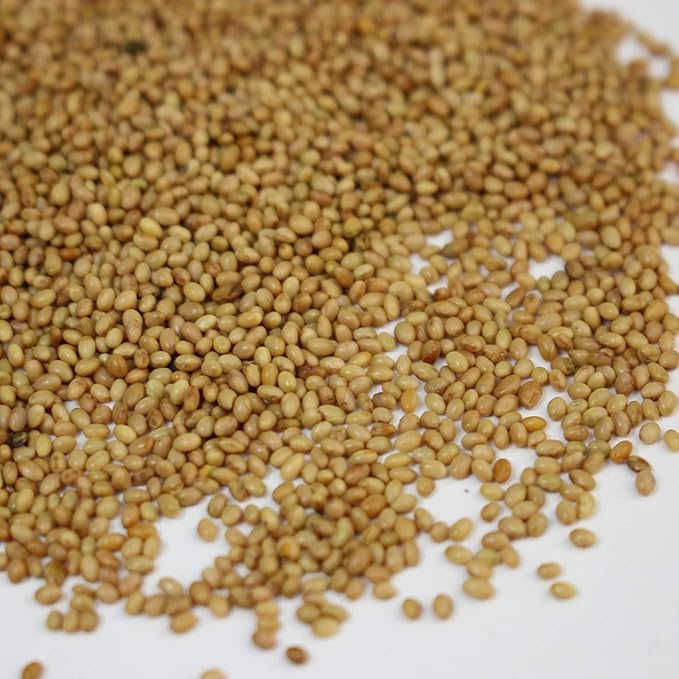 Crimson Clover Seeds (Coated) - 4 oz - Garden Cover Crop, Non-GMO, Open Pollinated, Perennial, Heirloom - Coated for Easy Planting