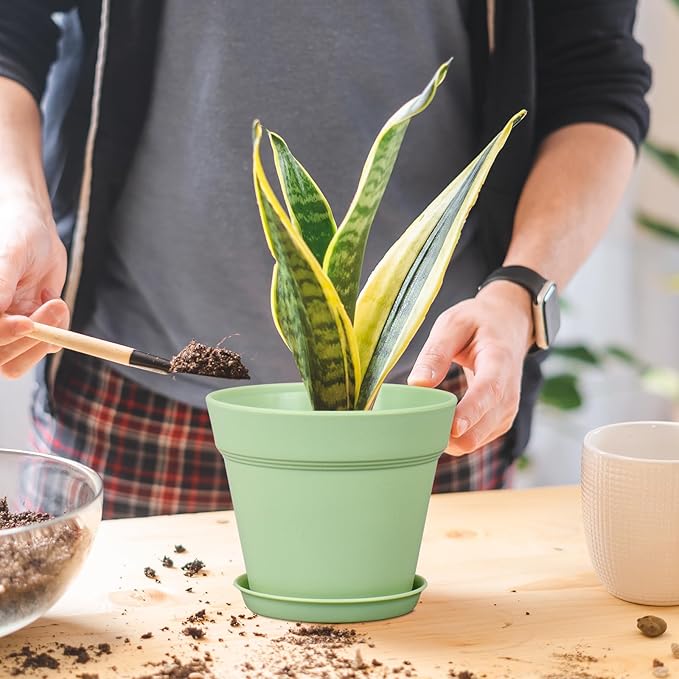 4 inch Small Plastic Nursery Pots, Seedling Pots - 16 Pack Plant Pots for Indoor & Outdoor Plants, Decorative Flower Pots with Drainage Holes and Saucers for House Plants, Green