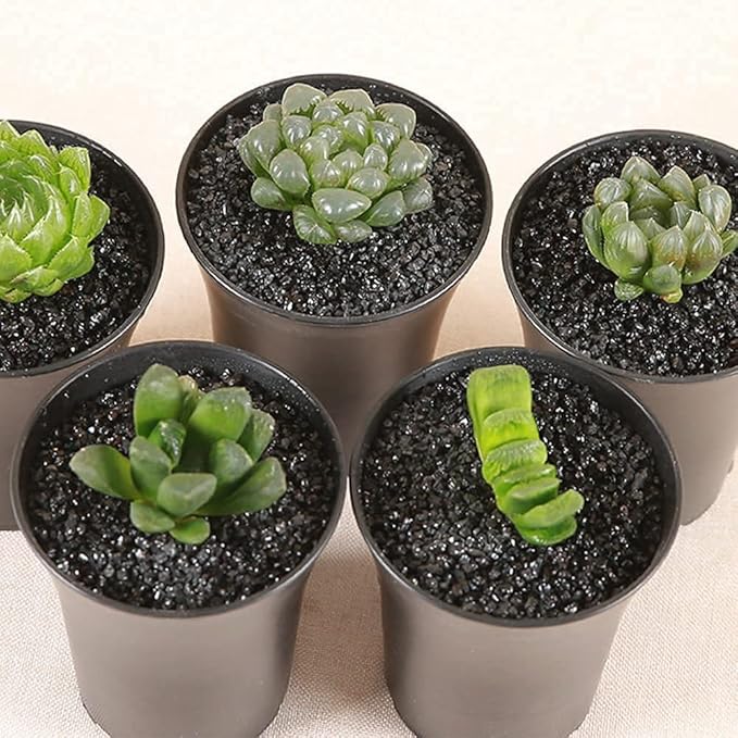 7lb Black Cactus Pea Gravel Rocks,1/4 Inch Pebbles for Indoor Plants, Natural Succulent Rock and River Rocks Decorative for Aquariums, Vases, Outdoor Gardening, Top Dressing for Potted Plants