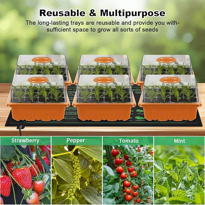 Seed Starter Tray with LED Light, 6 Pack 72 Cells Plant Grow Kit with Adjustable Humidity Vent for Mini Greenhouse Garden Germination,Bonsai Seedlings Starting Growing