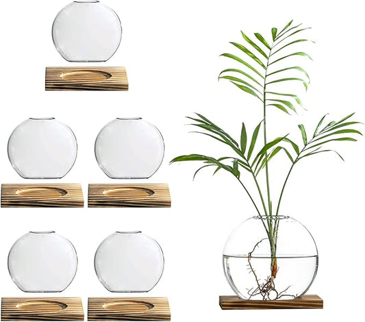 Glass Planter Propagation Station with Wooden Base - Clear Oblate Hydroponic Vase, Decorative Desktop Flower Vase for Home, Office, Windowsill - Gift for Plant Lovers (6)