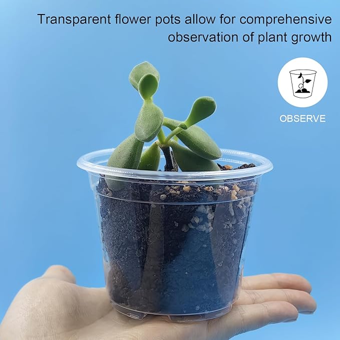 100 Pack 2.8 Inches Clear Plant Pots with Drainage Holes, Transparent Seeding Nursey pots, Round Plastic pots for Seeds Starter, Seeds Germination