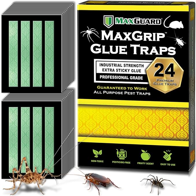 MaxGuard MaxGrip Glue Traps (24 Traps) Non-Toxic Extra Sticky Glue Board Pre-Baited with Fruity Scent Attractant Trap & Kill Insects, Bugs, Spiders, Crickets, Scorpions, Cockroaches, Centipedes, Mice
