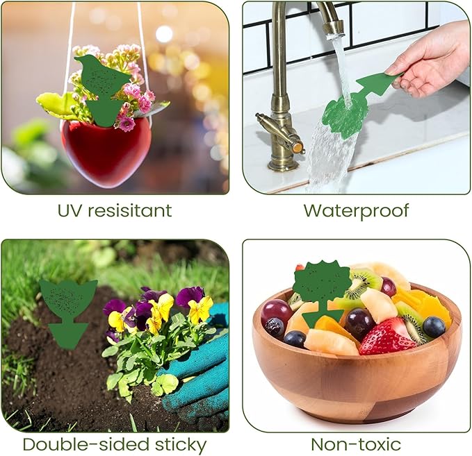 Qualirey 200 Sheets Fruit Fly Sticky Traps for Fruit Fly Gnat Trap for House Indoors Sticky Traps Catcher for Gnats Fungus Gnats Mosquito Catcher for Kitchen Outdoor Plants (Green)