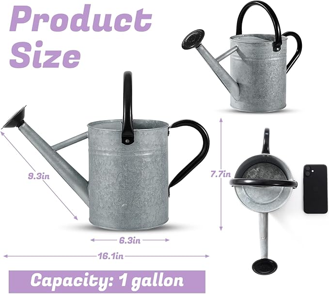 1 Gallon Watering Can for Plants, Watering Cans for Indoor&Outdoor Gardening, Galvanized Steel Watering Pot with Removable Spout, Metal Water Can with Ergonomic Movable Handle(Rustic Silver)