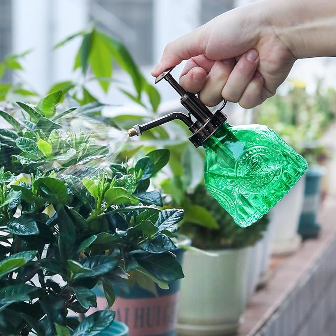Glass Plant Mister Spray Bottle, Vintage Plant Spritzer Watering Can, Succulent Watering Bottle with Top Pump, Small Plant Sprayer Mister for Indoor Outdoor Houseplant - Green