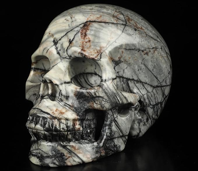 Skullis 5.0”Picasso Jasper Crystal Skull, Hand Carved Gemstone Fine Art Sculpture, Reiki Healing Stone Statue.3159