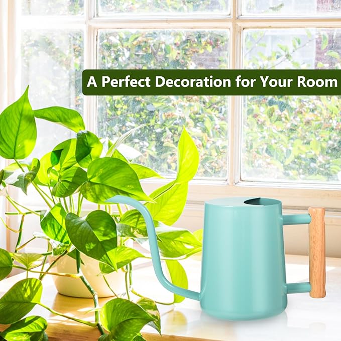 Watering Can Indoor Plants, 35oz Small Watering Can Indoor Stainless Steel Metal Watering Can Modern Decorative Watering Pot with Long Spout for Indoor House Plant Bonsai Outdoor Garden Flowers -Green