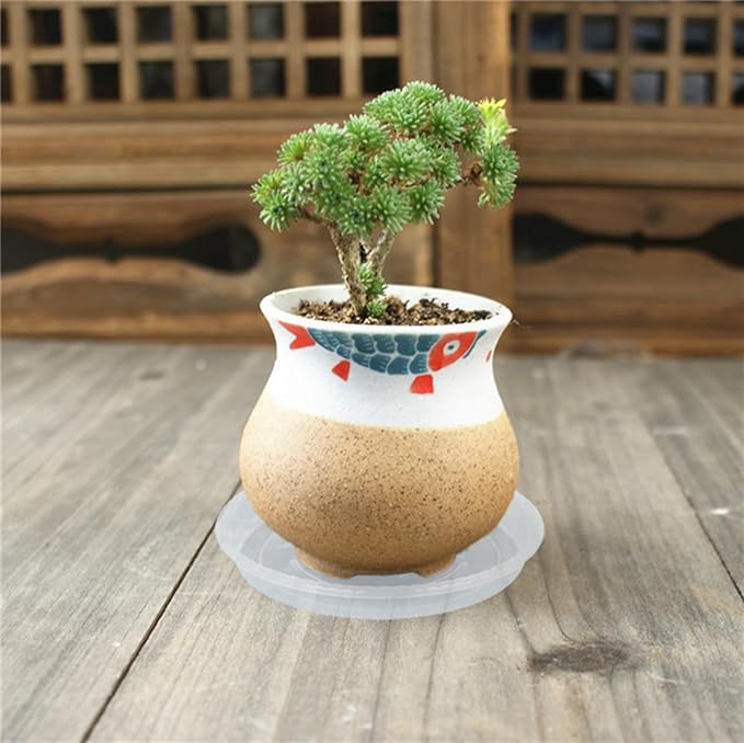 Plant Saucer 2 Pack of 8 inch, Clear Plastic Flower Plant Pot Saucer, Heavy Duty Plant Drip Trays Saucers for Indoor, Plant Water Tray for Planters