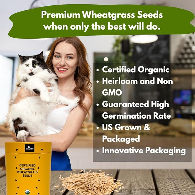 Certified Organic Wheatgrass Seeds – 12,500+ Non-GMO USDA Cat Grass Seeds in Food-Grade Container with Lid for Easy Scooping & Freshness