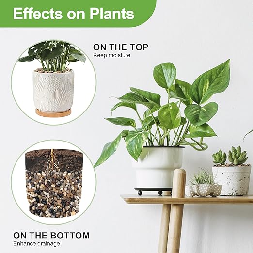 10 lbs Pebbles for Indoor Plants, Succulent, Bamboo, Vase, 3/8" Plant Rocks for Pots Indoor, Small River Rocks Decorative Pea Gravel, Highly Polished