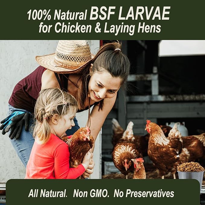 Adaman Dried Black Soldier Fly Larvae 10 LBS-100% Natural Non-GMO BSF Larvae-More Calcium Than Dried Mealworms High-Protein Chickens Treats, Food for Wild Birds, Ducks, Layer Hens