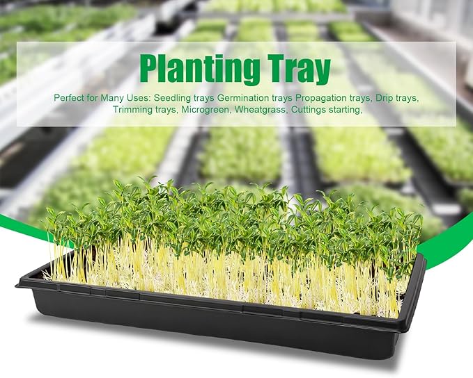 Plant Growing Nursery, Standard 1020 Trays Plastic Seeds Starter Trays Sturdy Self Seedling Tray for Microgreens Indoor Nursery Pots (10-Pack, 21.6"×11.2", 2.52" Deep, no Holes)