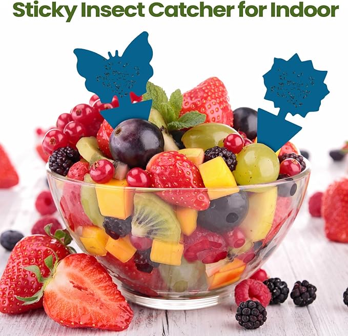 Qualirey 200 Sheets Fruit Fly Sticky Traps for Fruit Fly Gnat Trap for House Indoors Sticky Traps Catcher for Gnats Fungus Gnats Mosquito Catcher for Kitchen Outdoor Plants(Blue)