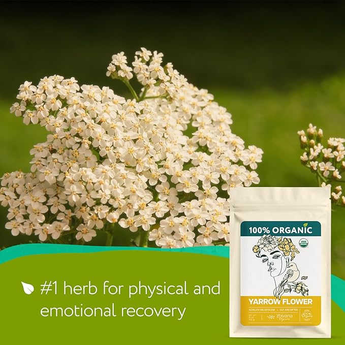 Super Value Pack 5 LB - Yarrow Flower Tea Organic - Dried Yarrow Herb Loose Leaf - Herbal Tea to Support Healthy Immune Function & Relaxation