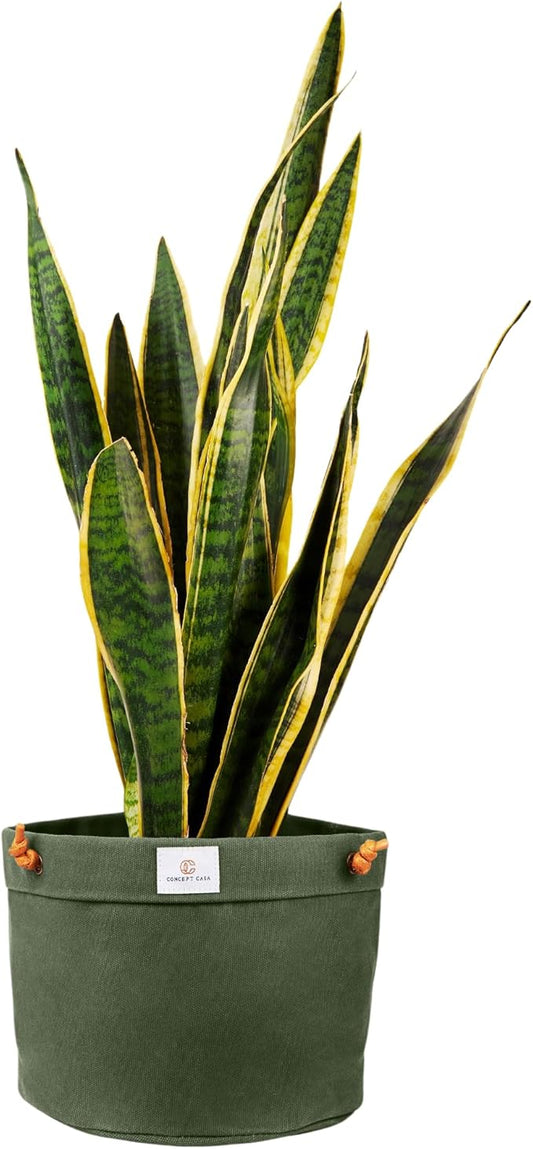 Waxed Canvas Handmade Hanging Planter for Indoor/Outdoor Plants, Hanging Basket Plant Holder Forest Green